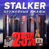 сейфы Stalker 25.jpg
