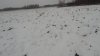 20221112130954_0999.MP4_snapshot_03.29.209.jpg