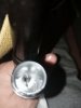 IMG20221204200103.jpg