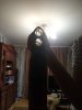 IMG_20221202_064749.jpg