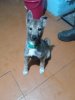 IMG-20221218-WA0022.jpg