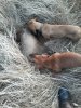 20201020_135347.jpg