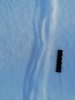IMG_20230105_133555.jpg