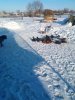 IMG_20230131_153048_464.jpg