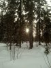IMG_20230201_120750_9.jpg