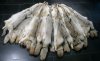 1-canadian-coyotes-skins-from-north-american-fur-auction.jpg