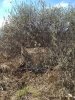IMG_20220508_120032.jpg