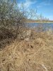 IMG_20220508_120012.jpg