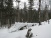IMG_6536.jpg
