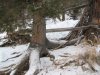 IMG_6398.jpg