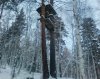 засидка КЮ.jpg