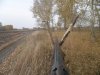 Иж-12 отстрел 006.JPG