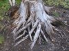 DSCF1185.JPG