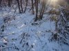 DSC03920.JPG