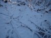 DSC03921.JPG