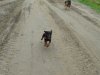 DSC03071.JPG