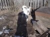 DSCF2157.JPG