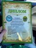 IMG_20230226_161800_601.jpg