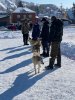 IMG_20230226_161840_120.jpg