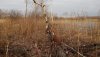DSCN0576.JPG