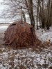 IMG_20230118_132810.jpg