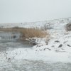 20230417_062621.jpg