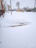 IMG_20230418_174307_1.jpg