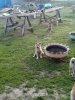 IMG_20230706_220825.jpg