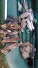 IMG-20230826-WA0006.jpeg