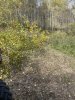 IMG_4255.jpeg