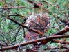 IMG-20230927-WA0057.jpg