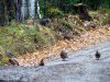 IMG-20230927-WA0058.jpg