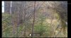 Screenshot_20231005_222303_Editor Lite.jpg