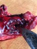 90BA6823-21D3-42C6-BC44-B3BD628E012B.jpeg
