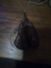 IMG_20231021_063743_267.jpg