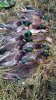 IMG-20231023-WA0008.jpg