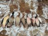 IMG_20231023_121402.jpg