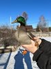 Изображение WhatsApp 2023-10-29 в 13.54.05_5b2d4f04.jpg