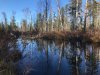 IMG-20231101-WA0010.jpg