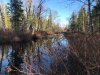 IMG-20231101-WA0011.jpg