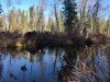 IMG-20231101-WA0012.jpg