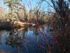 IMG-20231101-WA0014.jpg