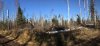 IMG-20231101-WA0022.jpg