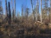 IMG-20231101-WA0023.jpg
