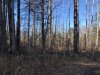 IMG-20231101-WA0024.jpg
