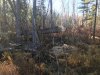 IMG-20231101-WA0033.jpg