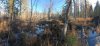 IMG-20231101-WA0035.jpg