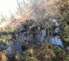 IMG-20231101-WA0037.jpg