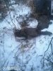 IMG-20231101-WA0044.jpg