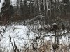 IMG_20231106_120243_129.jpg